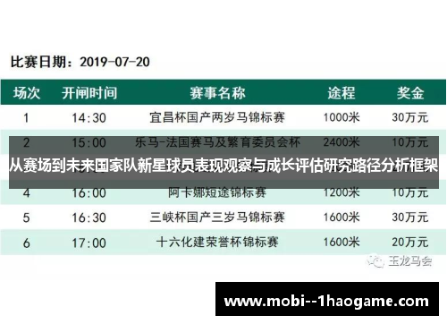 从赛场到未来国家队新星球员表现观察与成长评估研究路径分析框架