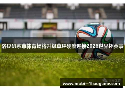 洛杉矶索菲体育场将升级草坪硬度迎接2026世界杯赛事